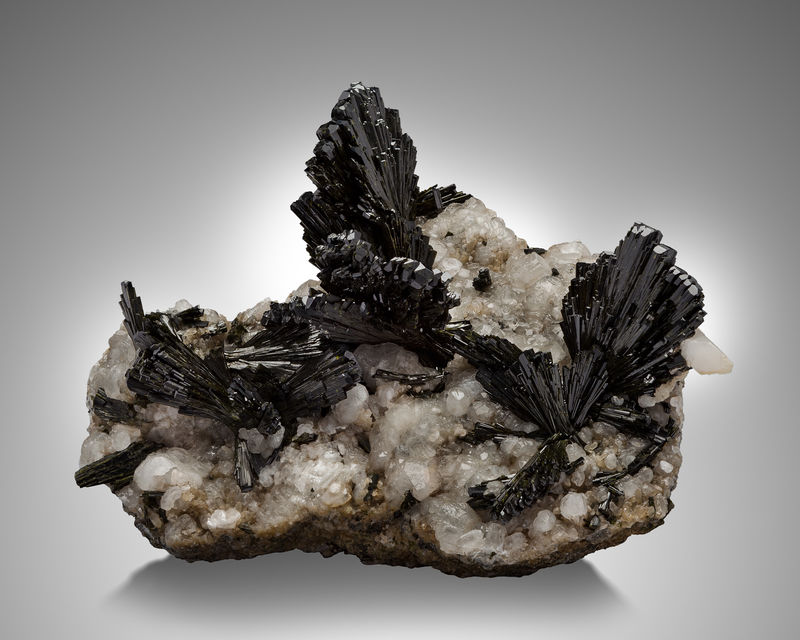 Epidote-MIM_Museum(2090).jpg