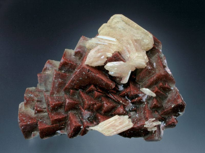 F443-6942.JPG