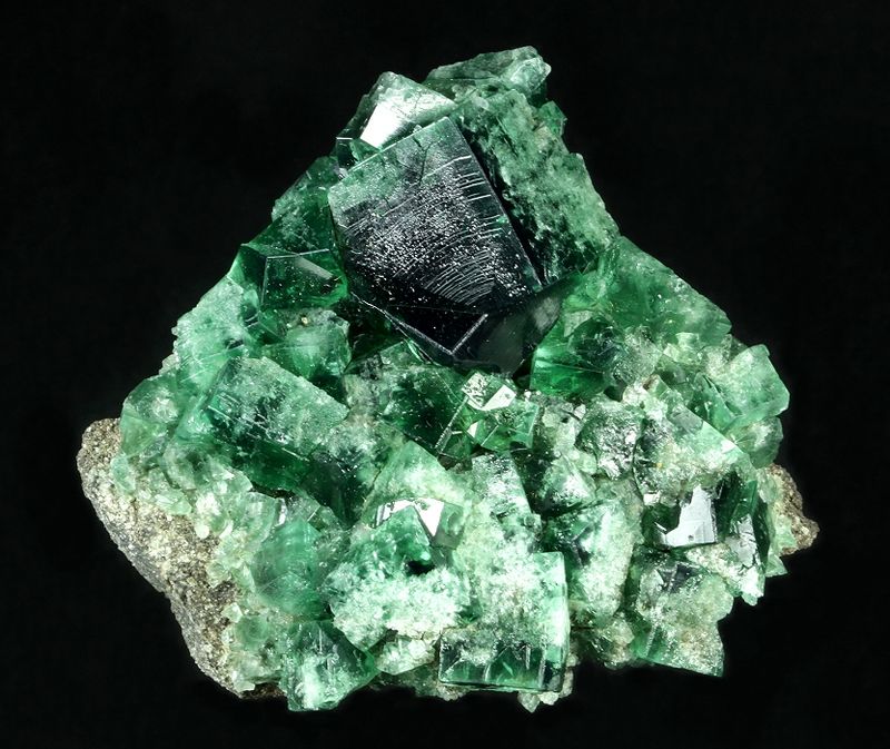 F479d.jpg