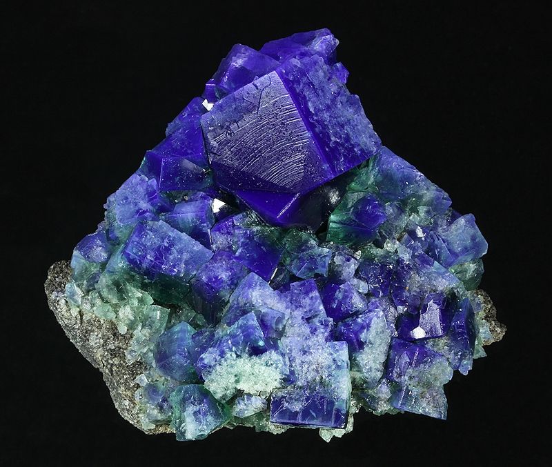 F479e.jpg