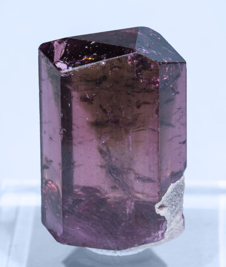 Fluor-liddicoatite with Quartz - Sahatany Valley_Madagascar.jpg