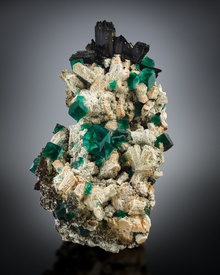 Fluorite-MIM_Museum(1908).jpg
