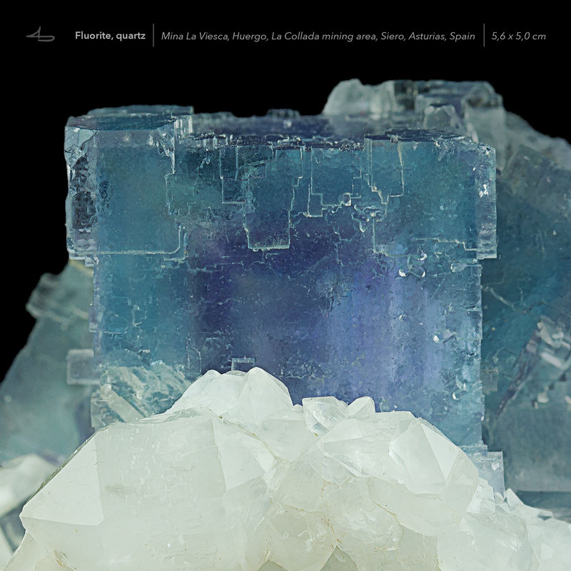 Fluorite-Mina-La-Viesca-Asturias-Spain-square-text.jpg