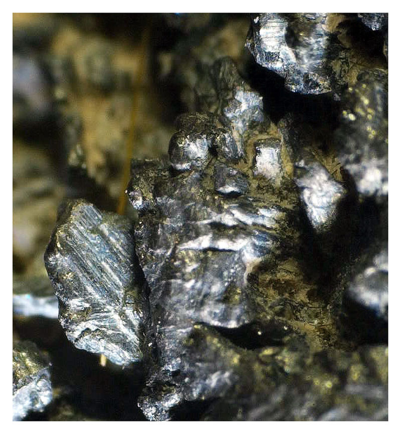 FRANCKEITE UNDER THE SCOPE 1.jpg