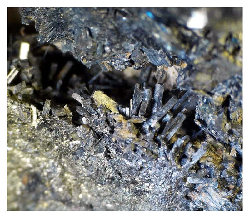 FRANCKEITE UNDER THE SCOPE 3.jpg