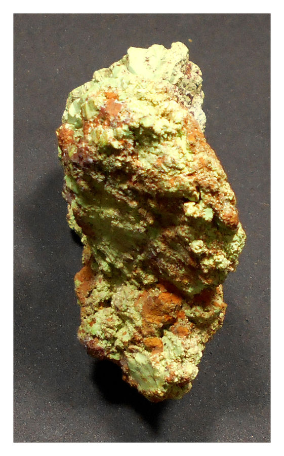 GASPEITE 4.jpg