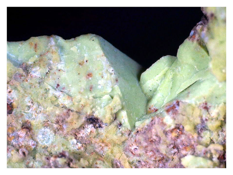 GASPEITE UNDER THE SCOPE 2.jpg