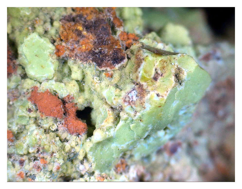 GASPEITE UNDER THE SCOPE 3.jpg