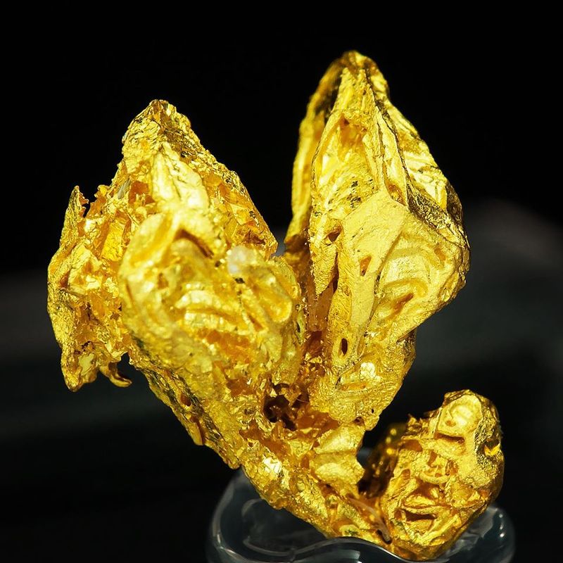 Gold - Dongbeizhai Mine_Sichuan Province_China.jpg