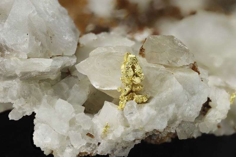 Gold on Calcite from Aouint Ighoman.jpg