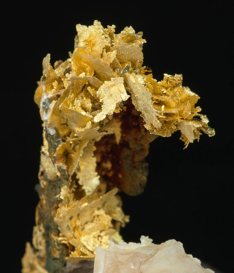 Gold (variety electrum) with Calcite - R.J. Roberts lode_Nevada_USA.jpg