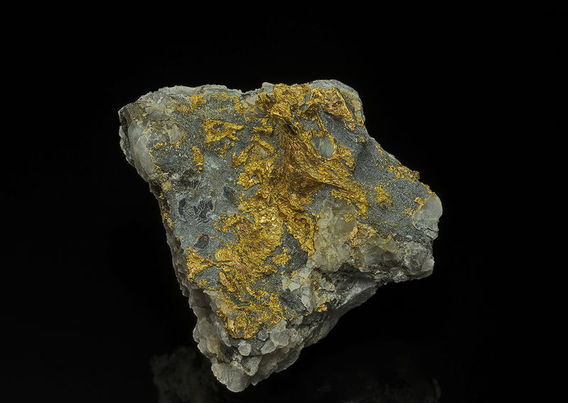GoldWitSa.jpg