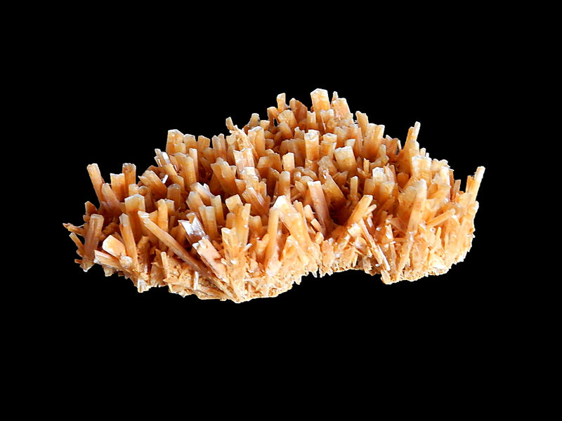 Gypsum no 199 -FMF.JPG