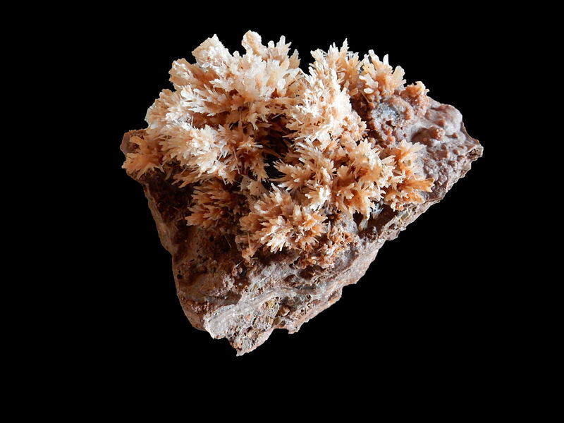 Gypsum no 204 - FMF.JPG