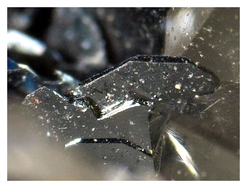 Hematite Plate in Quartz Crystal.JPG