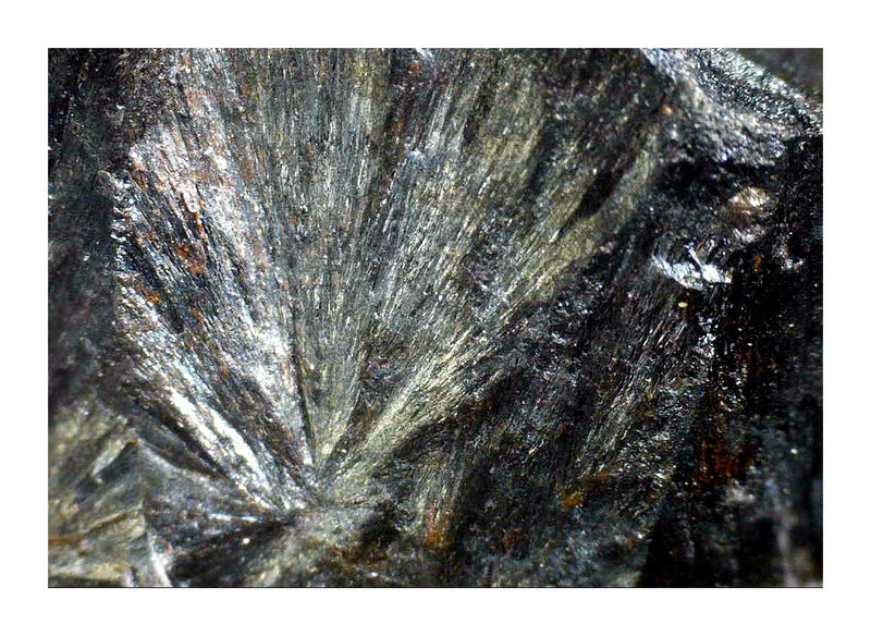 Hematite Under the Microscope 2 growing botryoid.JPG