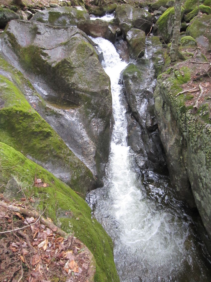 IMG_1859.JPG