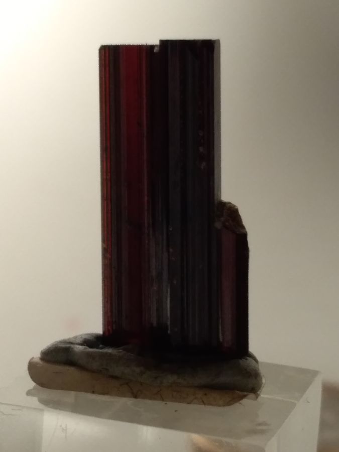 IMG_20191023_163855.jpg