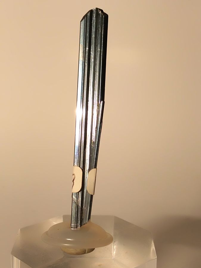 IMG_20191128_104654.jpg