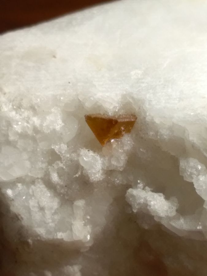 IMG_20200906_201059.jpg