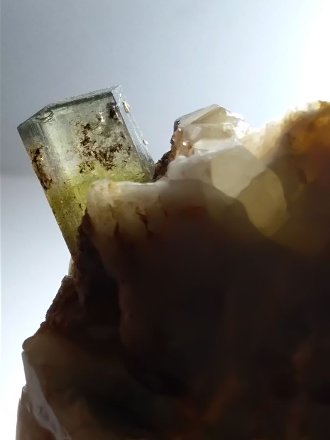 IMG_20200910_200928.jpg