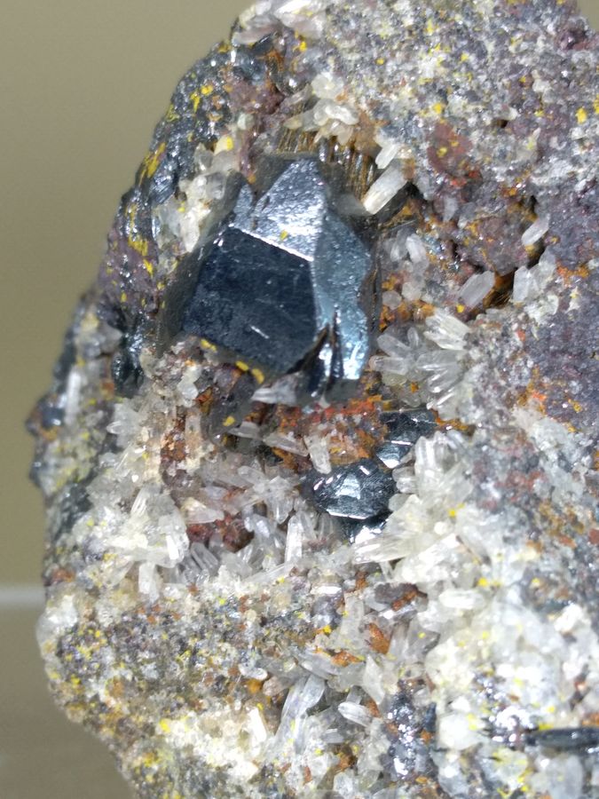 IMG_20200928_122756.jpg