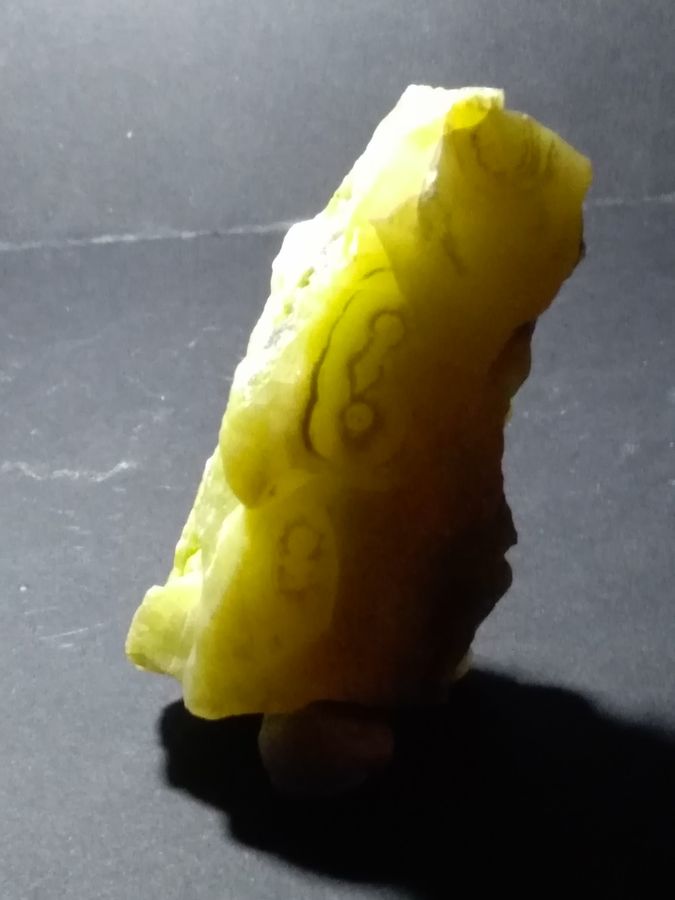 IMG_20210322_201347.jpg