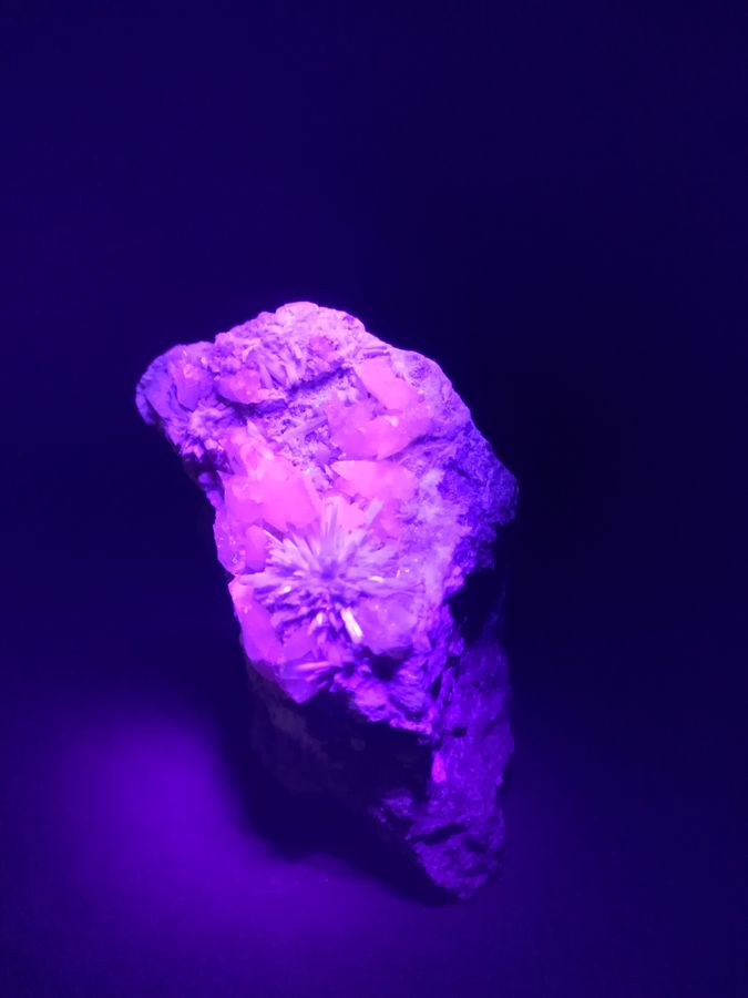 IMG_20210329_225610.jpg