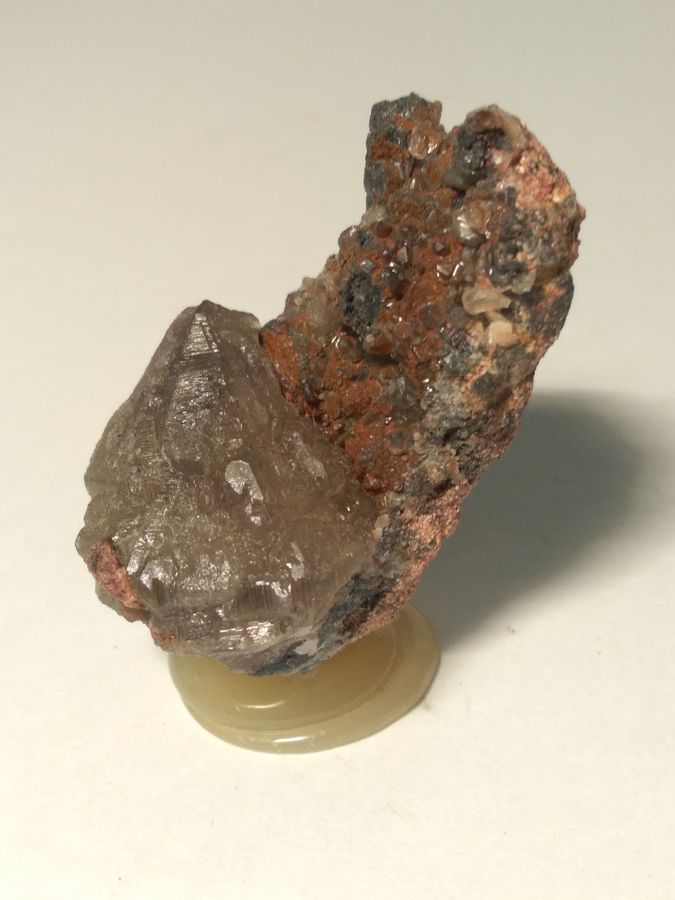 IMG_20220127_204403.jpg