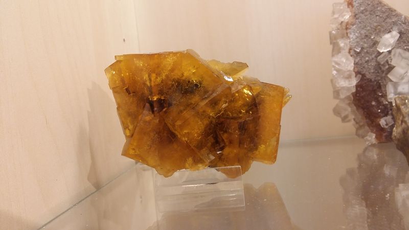 IMG-20240824-WA0060.jpeg