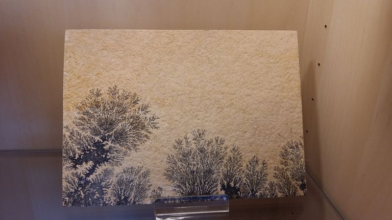 IMG-20240824-WA0108.jpeg