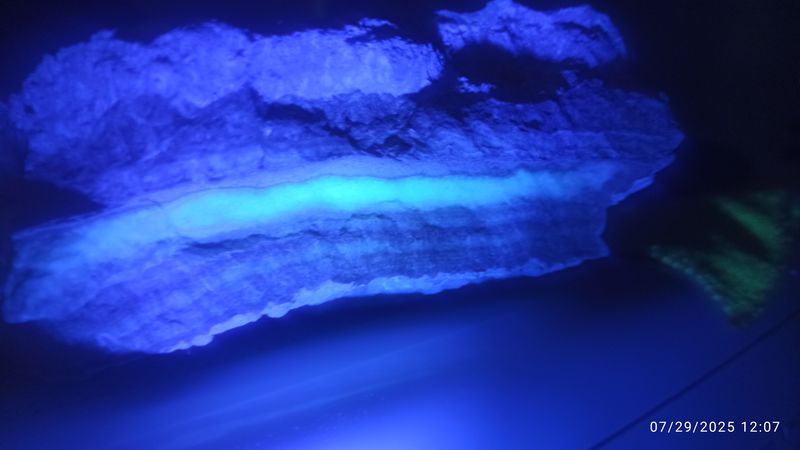 IMG_20250729_120708.jpg