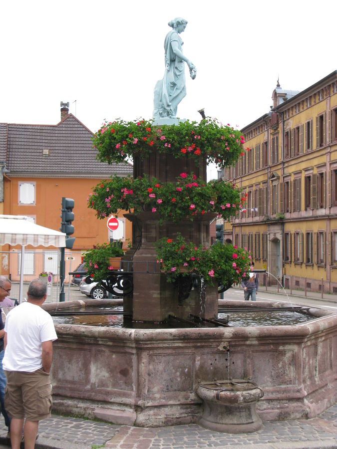 IMG_8103.JPG