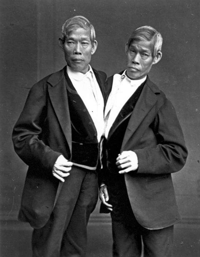 JAPAN LAW TWINS.jpg