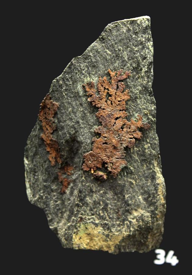 Kupfer Teichen, Kalwang, Stmk., ca. 7 cm IMG_1655.JPG
