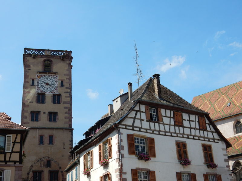 La Tour des Bouchers - Ribeauvillé - Alsace.JPG