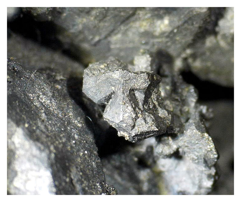 Large Acanthite Under the Microscope 4.JPG