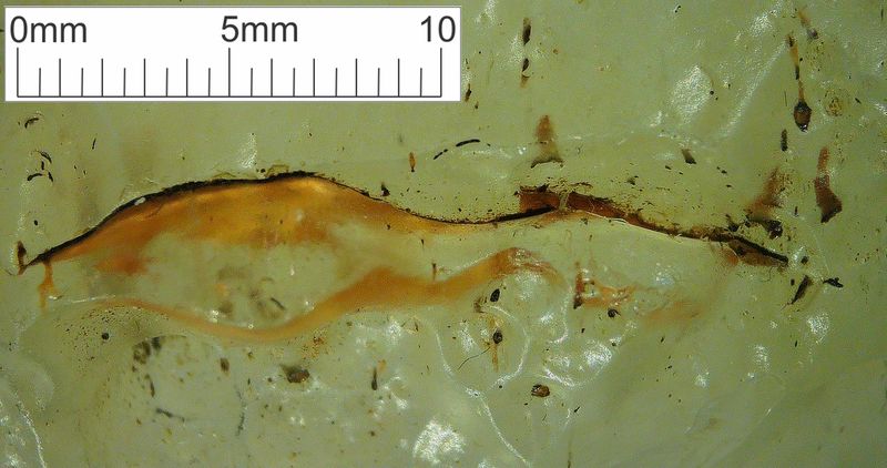 LDG_14_022_cropScale.jpg