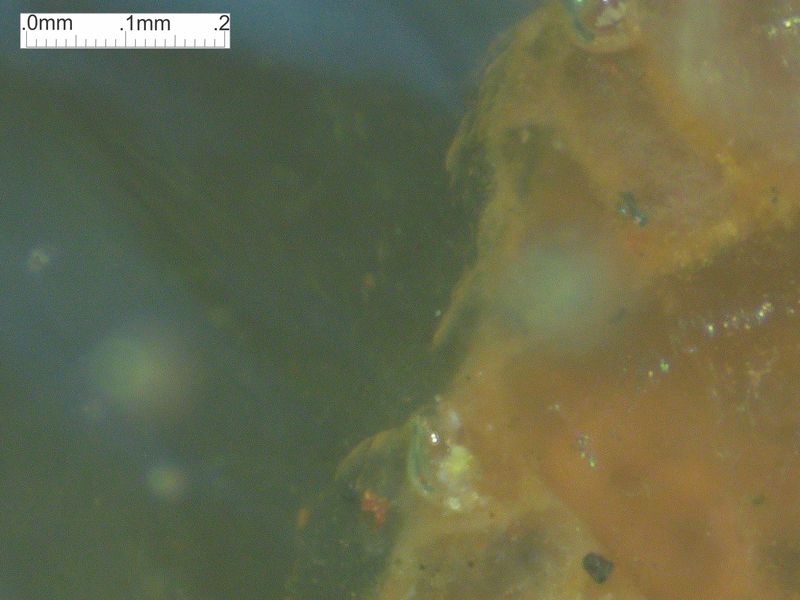LDG_21_052_lightScale.jpg