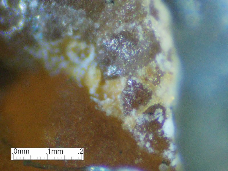 LDG_21_056_scale.jpg