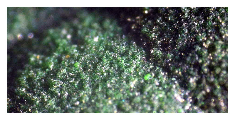 Malachite Shilu - Under the Microscope 1.JPG