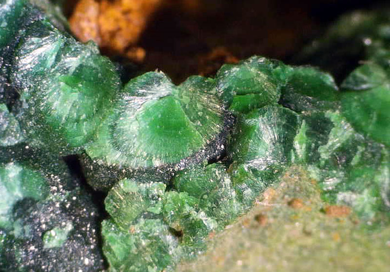 MASHAMBA WEST MALACHITE UNDER THE SCOPE 3.jpg