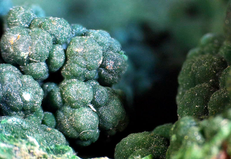 MASHAMBA WEST MALACHITE UNDER THE SCOPE 6.jpg