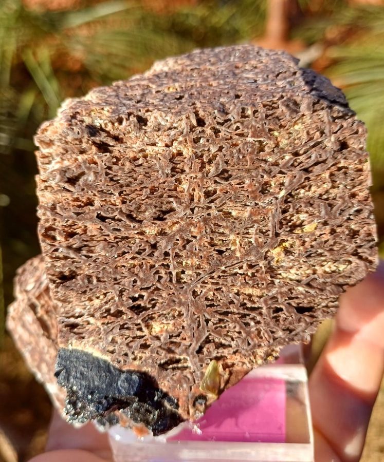 Microcline 1.jpeg