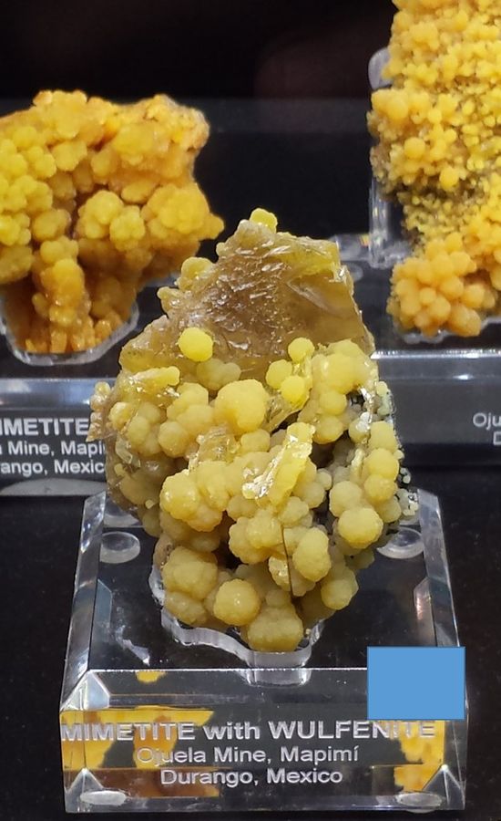 Mimetite with Wulfenite.jpg