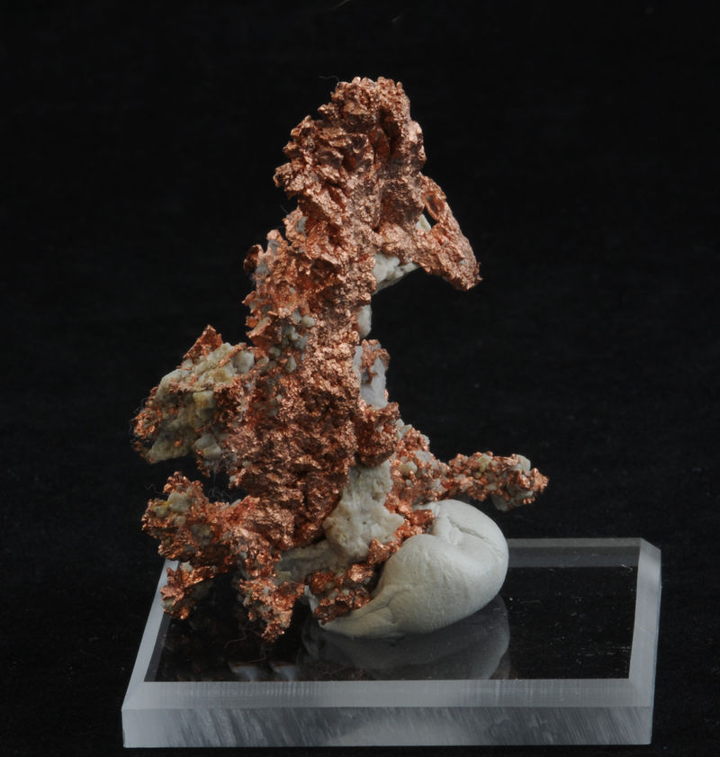 Mineral session 2-494.jpg