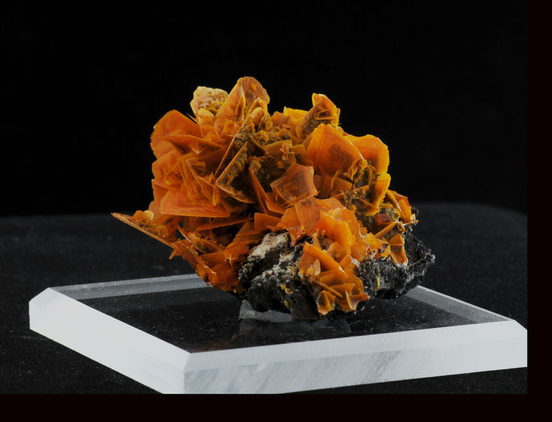 Mineral session 2-684.jpg