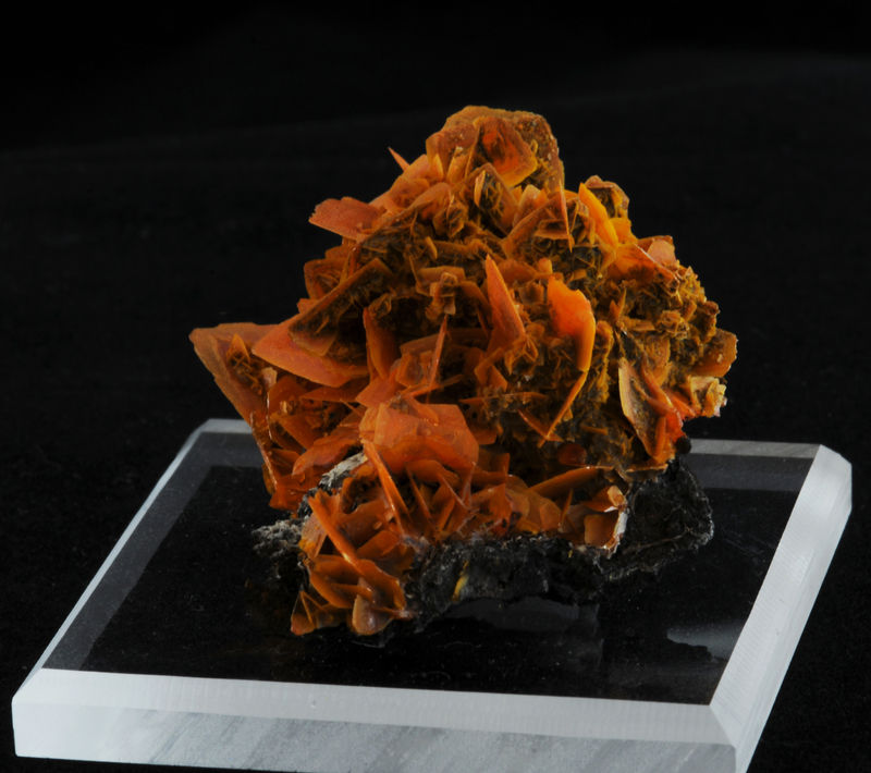 Mineral session 2-688.jpg