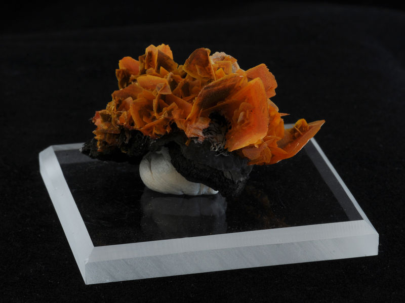 Mineral session 2-692.jpg