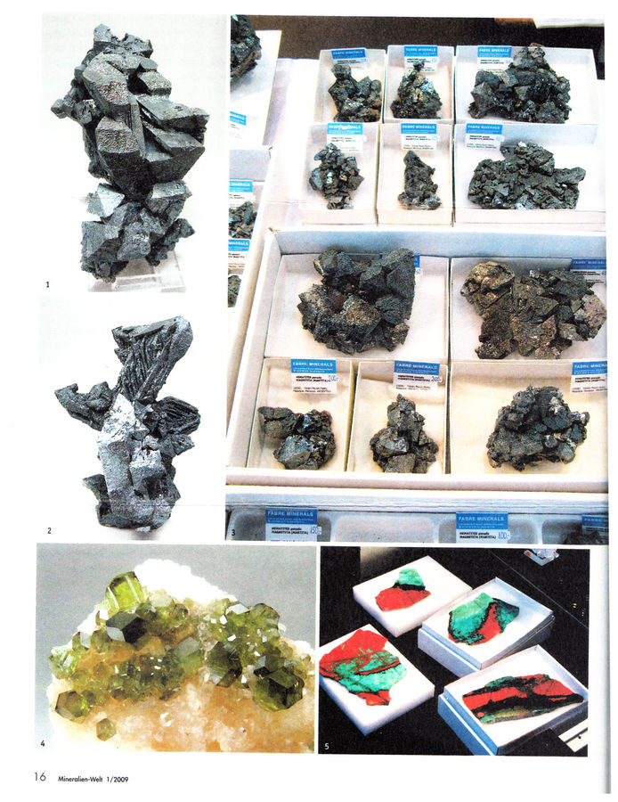 MINERALIEN WELT 1.jpg